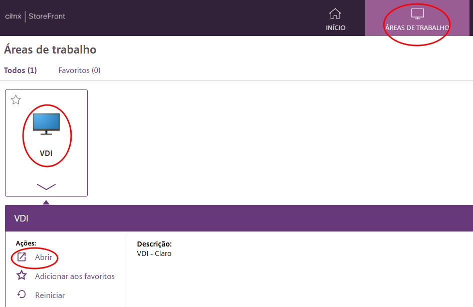 Tela de Áreas de trabalho do Citrix StoreFront com o ícone VDI e a ação Abrir destacados